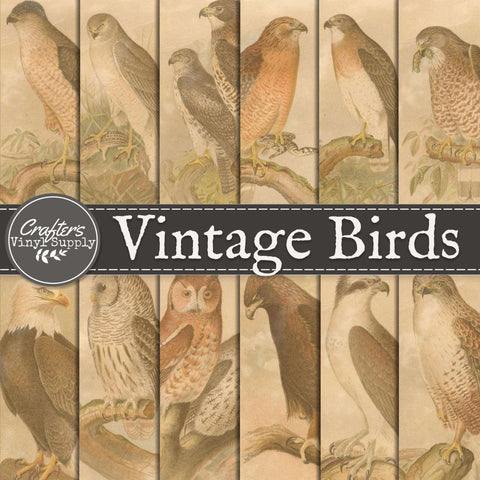 Vintage Bird Patterns