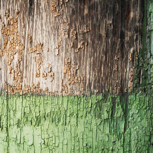 Weathered wood texture with peeling green paint