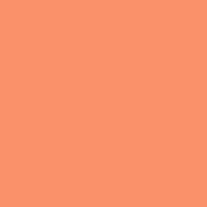 Crafter's Vinyl Supply Cut Vinyl 15" x 1 Yard Siser EasyWeed Melon by Crafters Vinyl Supply
