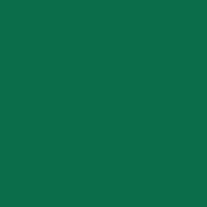Crafter's Vinyl Supply Cut Vinyl 15" x 12" Siser EasyWeed Stretch Green by Crafters Vinyl Supply