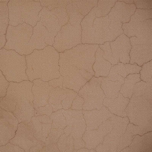 Cracked earth texture in warm beige tones
