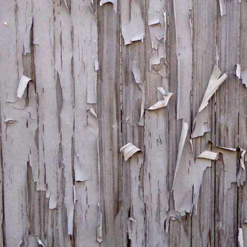 Peeling gray paint on weathered wooden boards