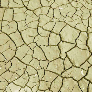 Dried cracked earth texture