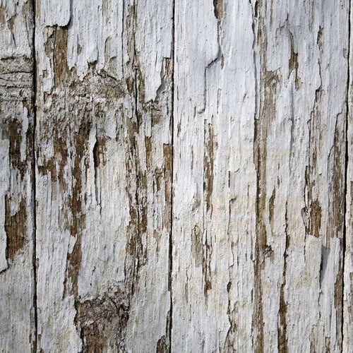 Textured white painted wood with peeling and cracking details