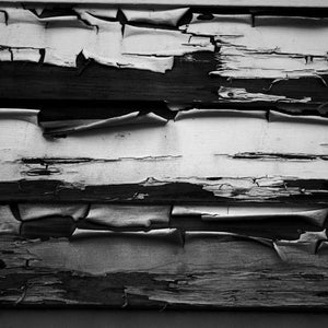 Black and white image of aged, peeling paint on wooden planks