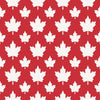Canada Day Patterns - 2 - Pattern Vinyl and HTV