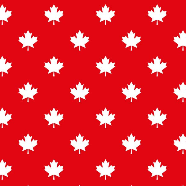 Canada Day Patterns - 9 - Pattern Vinyl and HTV