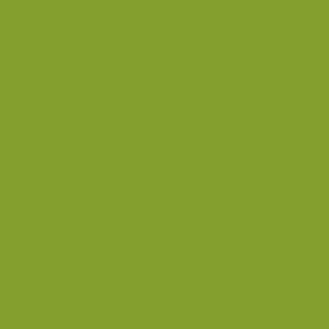 Crafter's Vinyl Supply Cut vinyl 12" x 1 Yard ORACAL® 641 Vinyl - 063 Lime-Tree Green - Matte Finish by Crafters Vinyl Supply