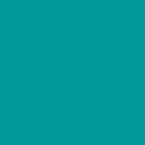 Crafter's Vinyl Supply Cut Vinyl 12" x 12” ORACAL® 631 Vinyl - 054 Turquoise - Matte Finish by Crafters Vinyl Supply