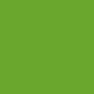 Crafter's Vinyl Supply Cut Vinyl 12" x 12” ORACAL® 631 Vinyl - 063 Lime-Tree Green - Matte Finish by Crafters Vinyl Supply