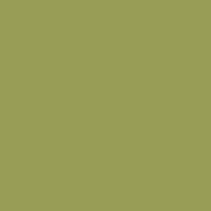 Crafter's Vinyl Supply Cut Vinyl 12” x 12” ORACAL® 631 Vinyl - 493 Olive - Matte Finish by Crafters Vinyl Supply