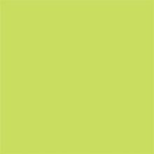 Load image into Gallery viewer, Crafter&#39;s Vinyl Supply Cut Vinyl 12” x 12” ORACAL® 631 Vinyl - 622 Pastel Green - Matte Finish by Crafters Vinyl Supply