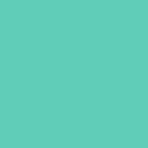 Crafter's Vinyl Supply Cut Vinyl 12” x 12” ORACAL® 651 Vinyl - 055 Mint - Gloss Finish by Crafters Vinyl Supply