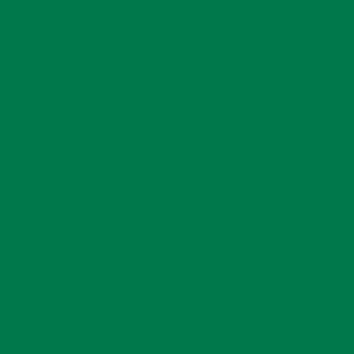 Crafter's Vinyl Supply Cut Vinyl 12” x 12” ORACAL® 651 Vinyl - 061 Green - Matte Finish by Crafters Vinyl Supply