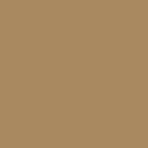 Crafter's Vinyl Supply Cut Vinyl 12” x 12” ORACAL® 651 Vinyl - 081 Light Brown - Gloss Finish by Crafters Vinyl Supply