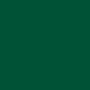 Crafter's Vinyl Supply Cut Vinyl 12” x 12” ORACAL® 651 Vinyl - 613 Forest Green - Gloss Finish by Crafters Vinyl Supply