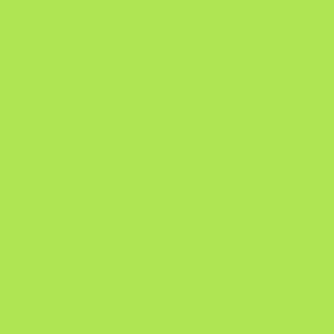 Crafter's Vinyl Supply Cut Vinyl 12” x 12” ORACAL® 8300 Vinyl - 063 Lime-Tree Green by Crafters Vinyl Supply