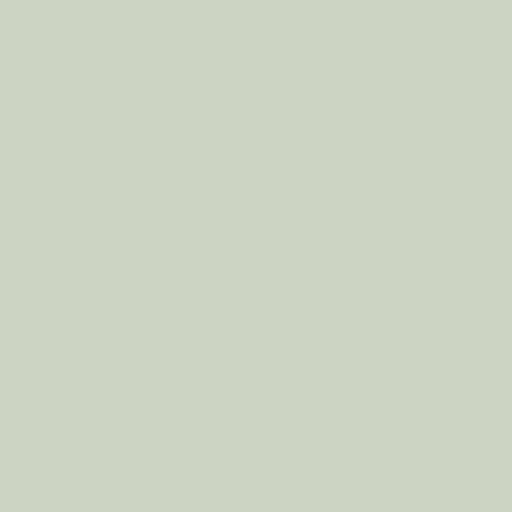 ORACAL® 8300 Vinyl - 074 Middle Grey – Crafter's Vinyl Supply
