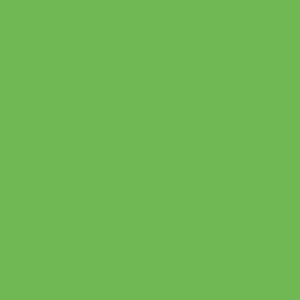 Crafter's Vinyl Supply Cut Vinyl 15" x 1 Yard Siser EasyWeed Green Apple by Crafters Vinyl Supply