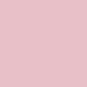Crafter's Vinyl Supply Cut Vinyl 15" x 1 Yard Siser EasyWeed Light Pink by Crafters Vinyl Supply