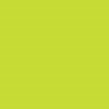 Load image into Gallery viewer, Crafter&#39;s Vinyl Supply Cut Vinyl 15&quot; x 1 Yard Siser EasyWeed Lime by Crafters Vinyl Supply