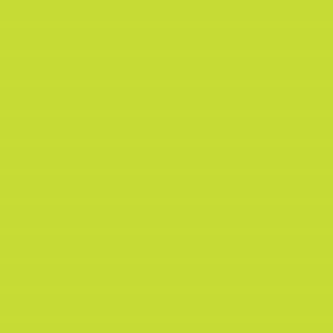Crafter's Vinyl Supply Cut Vinyl 15" x 1 Yard Siser EasyWeed Lime by Crafters Vinyl Supply