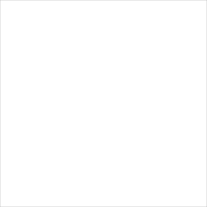 Crafter's Vinyl Supply Cut Vinyl 15" x 1 Yard Siser EasyWeed Stretch White by Crafters Vinyl Supply