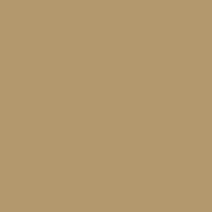 Crafter's Vinyl Supply Cut Vinyl 15" x 1 Yard Siser EasyWeed Vegas Gold by Crafters Vinyl Supply