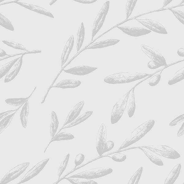 Monochromatic olive branch pattern on a white background