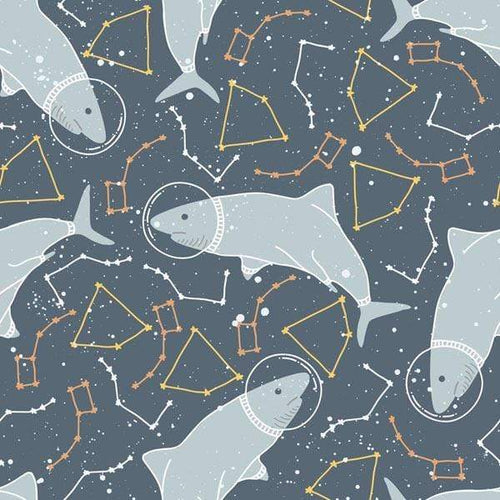 Whimsical pattern with seals and constellations on a gray background