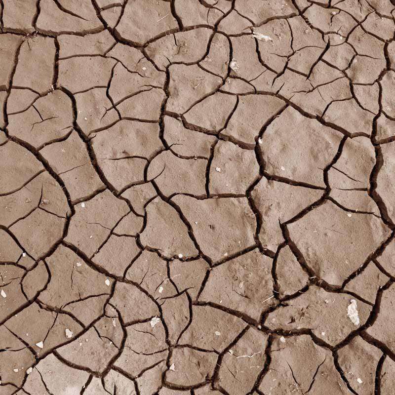 Dried cracked earth surface