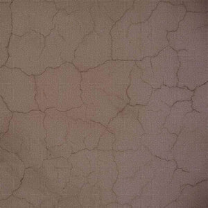 Abstract cracked clay pattern in earthy tones