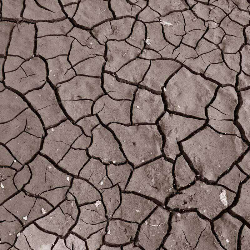 Close-up of cracked soil pattern