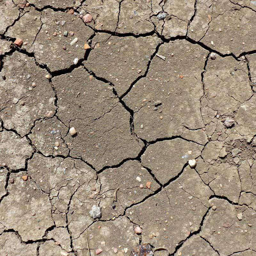 Dry cracked earth with small stones