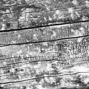 Black and white close-up of wood grain pattern