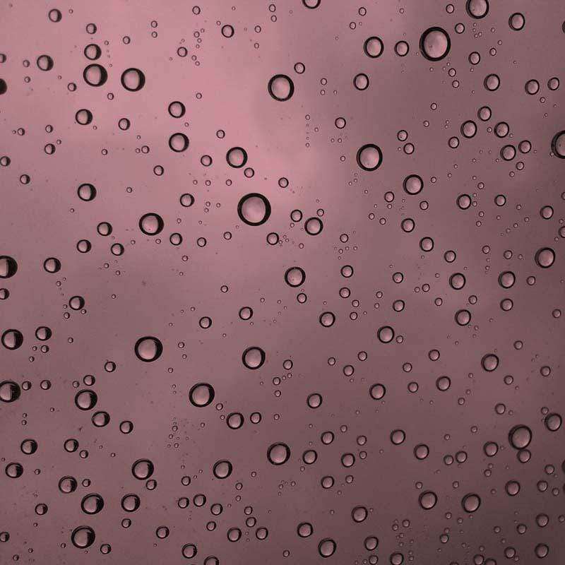 Water droplets on a rose-colored background