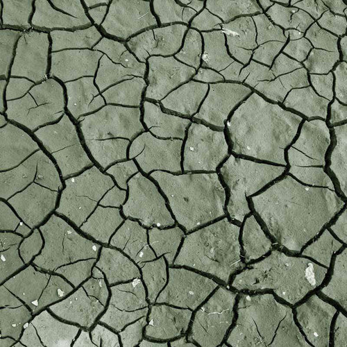 Close-up of a dried cracked earth pattern