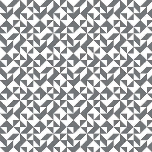 Black and white geometric pattern with maze-like design