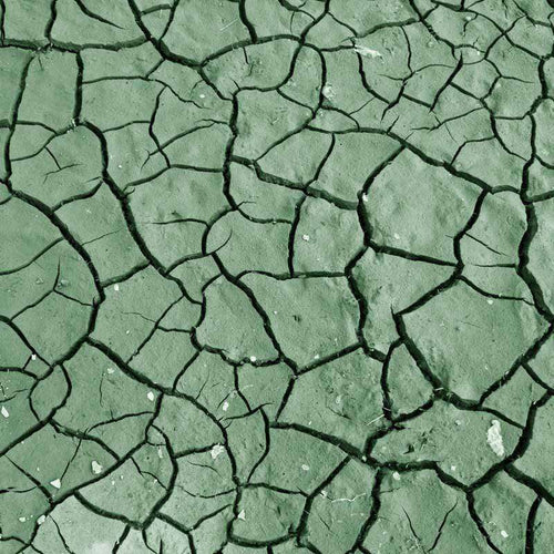 Green cracked earth texture