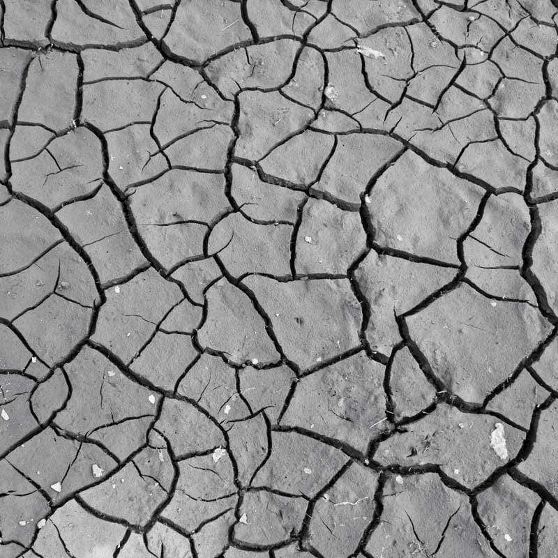Black and white cracked earth pattern