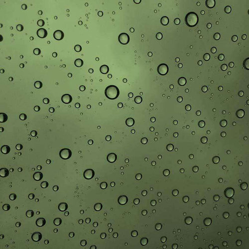 Collection of water droplets on a soothing green surface
