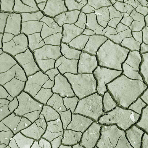 Green cracked earth pattern