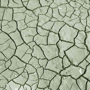 Green cracked earth pattern