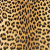 Safari Splendor Pattern - Pattern Vinyl and HTV