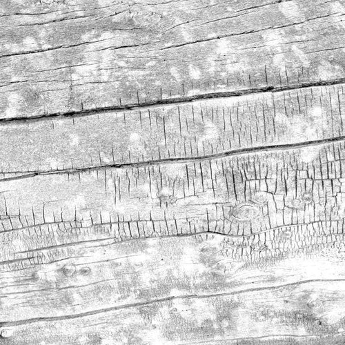 Black and white image of wood grain patterns