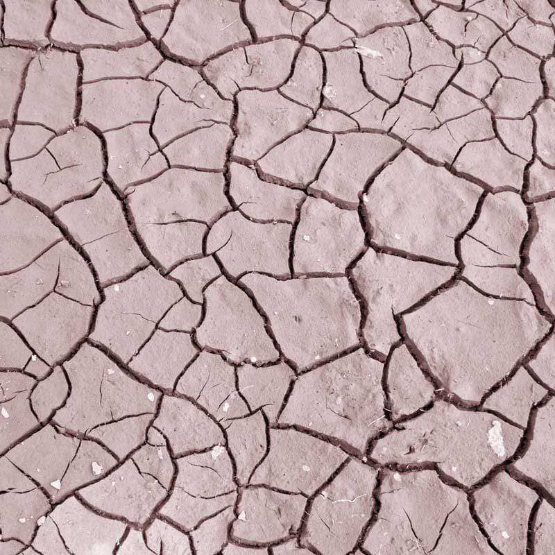 Close-up of a cracked earth pattern