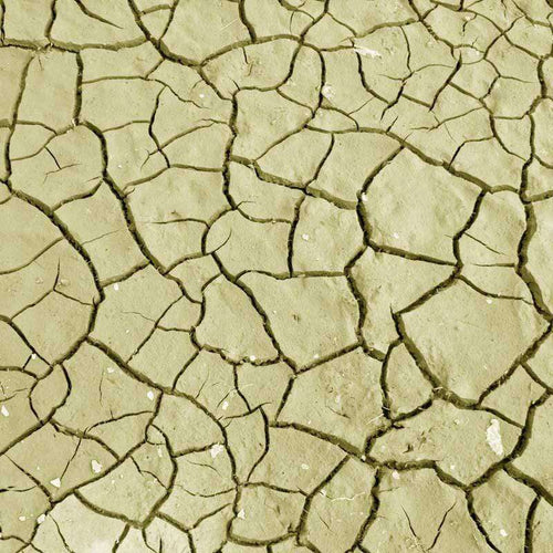 Dried cracked earth texture