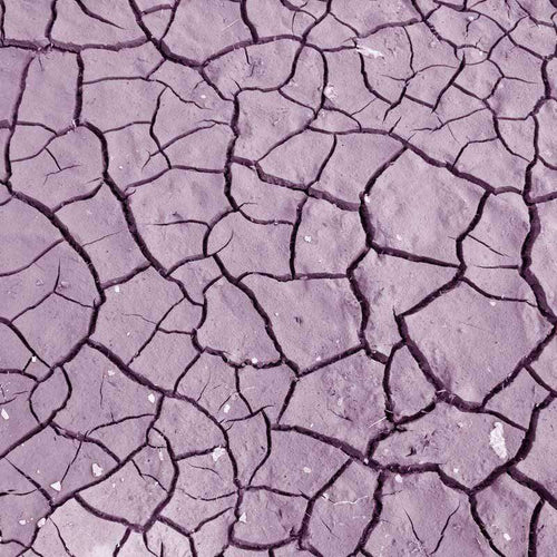 Abstract dry cracked soil pattern in lavender tones