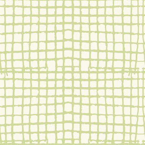 Abstract square lattice pattern on a sage green background