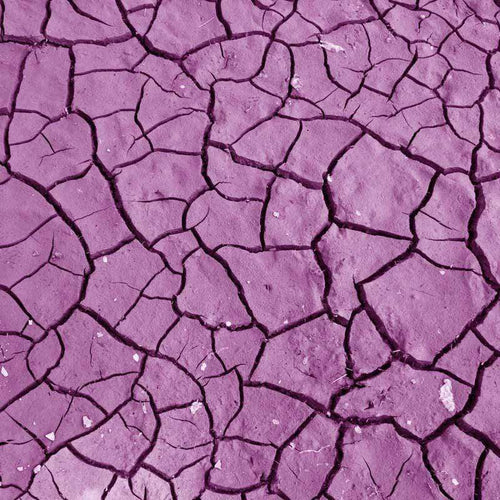 A vivid purple cracked pattern resembling dry earth